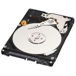 Western Digital 320GB 2.5“ Scorpio