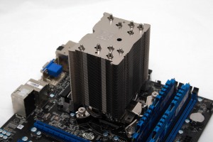 noctua_u9s_9