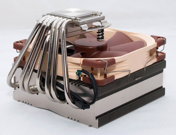 Noctua_C14S_5