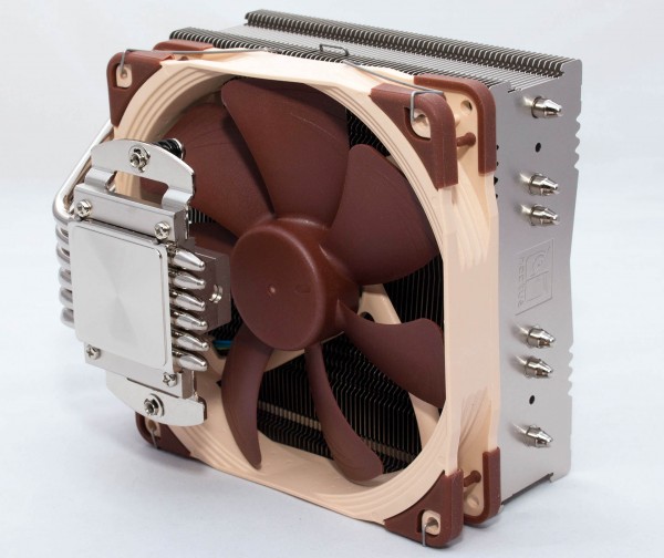 Noctua_C14S_6