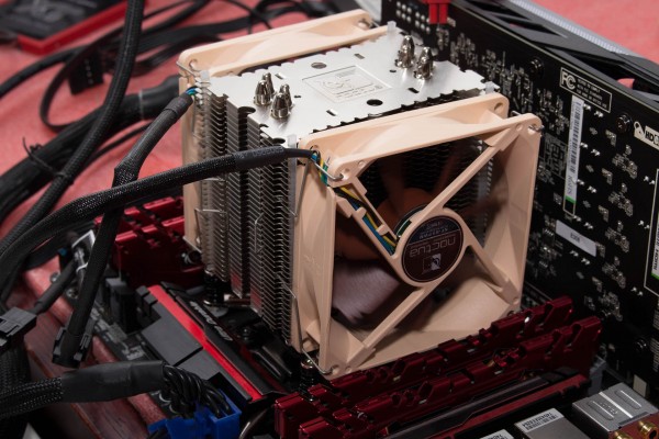 noctua_u12dx_u9dx_22