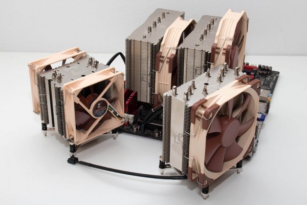 noctua_u12dx_u9dx_3