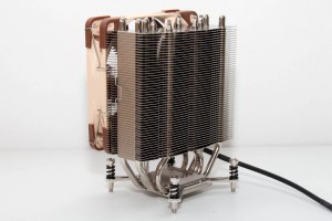 noctua_u12dx_u9dx_8