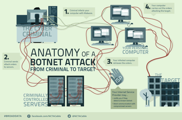 botnet