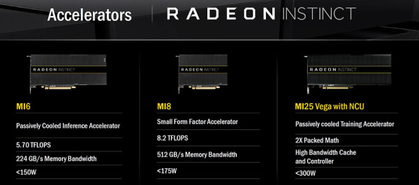 AMD Instinct & Ryzen