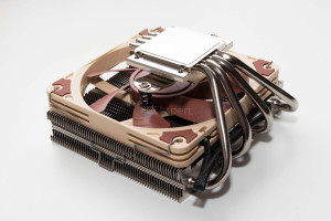 noctua_l12s_6