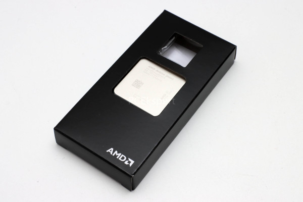 amd_athlon_3000g_1