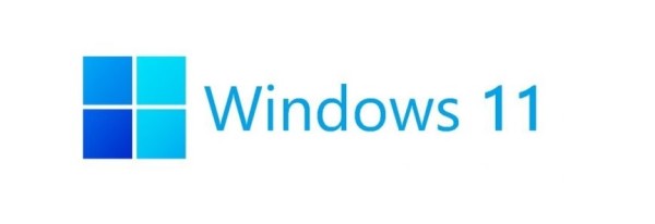 windows_11_Novi logo