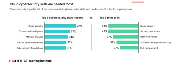 Fortinet   Information Security Skills Gap Report   (3)