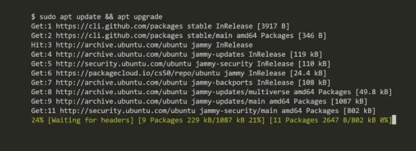 Ubuntu izložen dvjema sigurnosnim ranjivostima_1