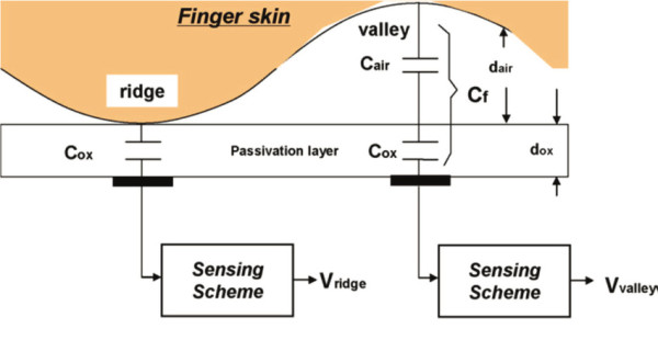 Za početnike  Usporedba rješenja za otključavanje otiskom prsta - Kapacitivni skener
