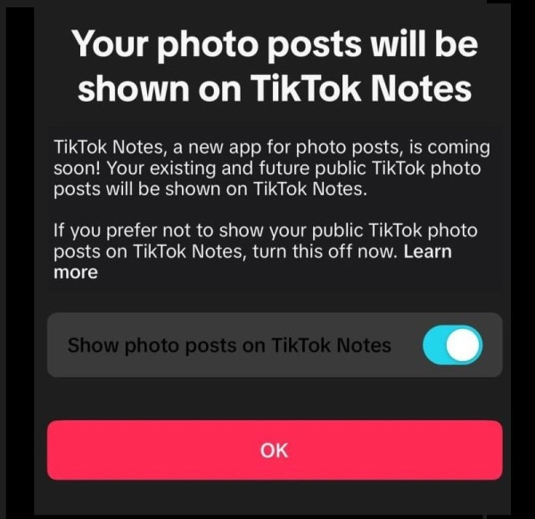 TikTok Notes  Aplikacija za objavljivanje fotografija_2