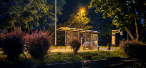 Honor_400_foto_slika_26